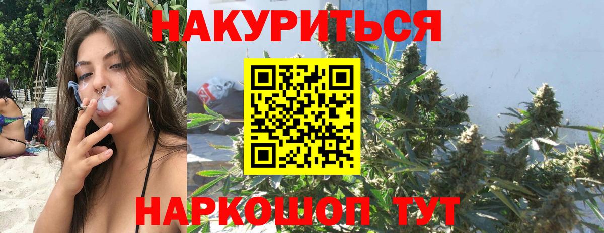 Каннабис планчик Печора